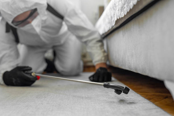 Professional Bed Bug Control technician working in Hickman County County, KY
